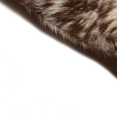 Set of Two 18" Brown and White Cowhide Throw Pillows