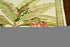 8' X 11' Ivory Green And Brown Wool Tropical Botanical Hand Tufted Area Rug
