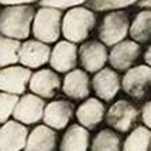 9' X 13' Wool Striped Hand Woven Area Rug