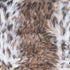 20" X 12" X 5" Acrylic Plush Polyester Polyfill Lynx 2 Pack Pillow
