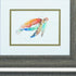 Set of Two Red and Blue Turtle Framed Wall Art