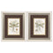 11" X 13" Brushed Silver Frame Dragonfly (Set Of 2)