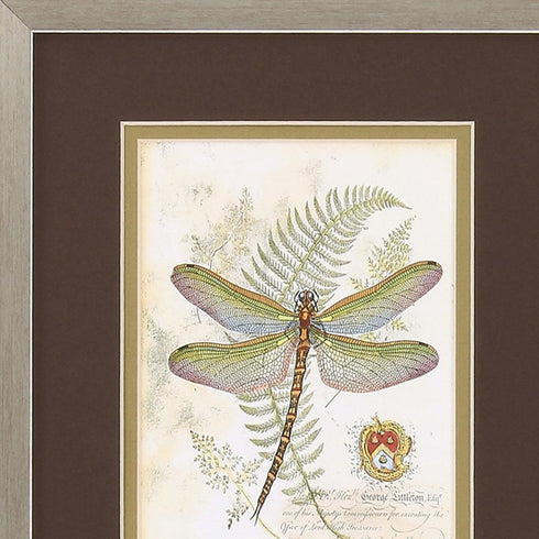 11" X 13" Brushed Silver Frame Dragonfly (Set Of 2)