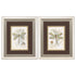 11" X 13" Brushed Silver Frame Dragonfly (Set Of 2)