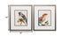 14" X 16" Metallic Bronze Frame Eco Bird (Set Of 2)