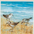 19" X 19" White Frame Sandpipers (Set Of 2)