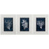 21" X 27" White Frame Wood Coral Blue (Set Of 3)