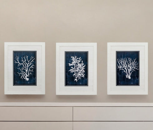 21" X 27" White Frame Wood Coral Blue (Set Of 3)