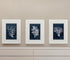 21" X 27" White Frame Wood Coral Blue (Set Of 3)