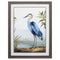 36" X 27" Blue Heron Brown Framed Art