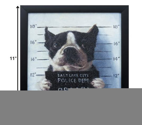 11" X 11" Black Frame Mug Shot