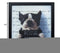 11" X 11" Black Frame Mug Shot