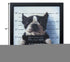11" X 11" Black Frame Mug Shot