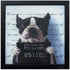 11" X 11" Black Frame Mug Shot