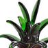 9" Amber And Green Mouth Blown Art Glass Pineapple Sculpture