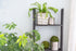 4 Step Blackwash Rustic Wood Ladder Shelf