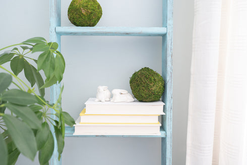 5 Step Rustic Turquoise Wood Ladder Shelf