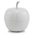 13" White Aluminum Decorative Apple Tabletop Sculpture