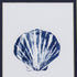 Set Of Two Blue And White Seashell Wall Art