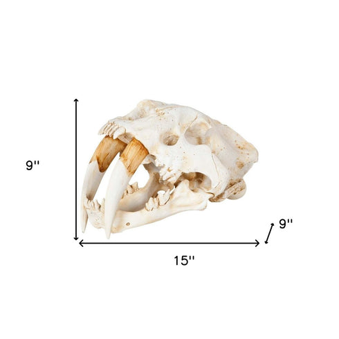 Authentic Replica Sabertooth Skull Sculpture