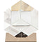6" Optical Glass Cube And Gold Sculpture