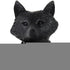 Black Resin Suited Fox Bust Sculpture