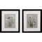 Set of Two Babybreaths and Birds Wall Art