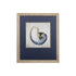 Set of Two Ocean Seashells Wall Art