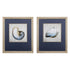 Set of Two Ocean Seashells Wall Art