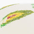Lemon Green Artichoke Embroidered Lumbar Pillow