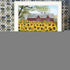 Sunshine 1 White Framed Print Wall Art