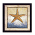 Starfish Black Framed Print Wall Art
