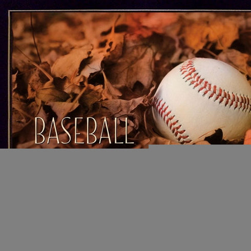 Set Of Two Baseball and Football Black Framed Wall Art
