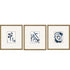 Set Of Three Mayhem I Gold Framed Print Wall Art