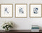 Set Of Three Mayhem I Gold Framed Print Wall Art