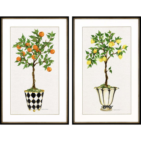 Set Of Two Fruit Topiary Black Framed Print Wall Art