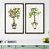 Set Of Two Fruit Topiary Black Framed Print Wall Art