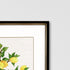 Set Of Two Fruit Topiary Black Framed Print Wall Art