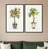 Set Of Two Fruit Topiary Black Framed Print Wall Art
