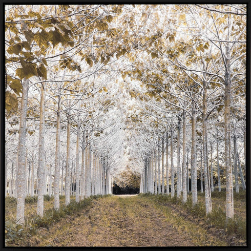 White Gold Canvas Black Floater Frame Print Wall Art