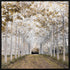 White Gold Canvas Black Floater Frame Print Wall Art