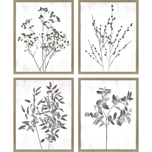 Set Of Four Floral Wild Gold Framed Print Wall Art