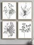 Set Of Four Floral Wild Gold Framed Print Wall Art