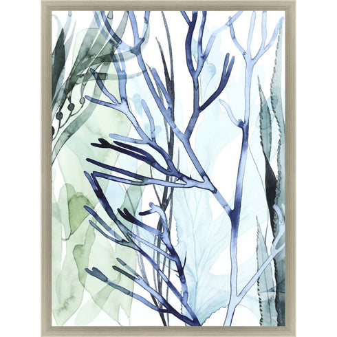 Sea Leaves II Framed Art Silver Picture Frame Print Wall Art