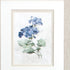Set Of Two Farmhouse Perinwinkle White Framed Wall Art