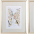 Set of Two Brown Streets of Venice Framed Art