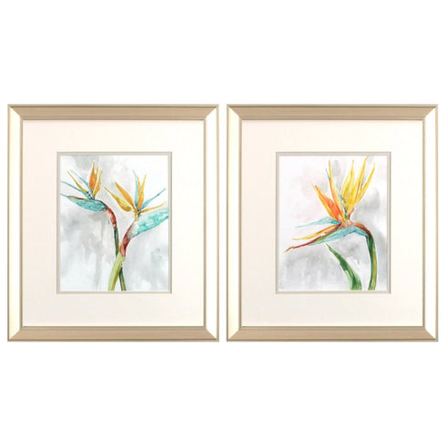 Set Of Two Bird of Paradise Champagne Framed Print Wall Art