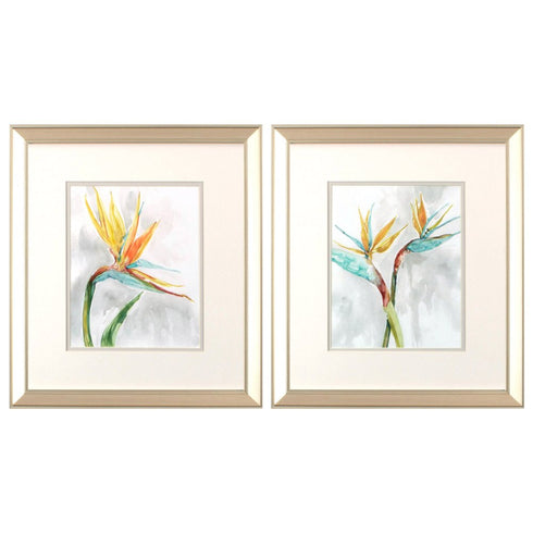 Set Of Two Bird of Paradise Champagne Framed Print Wall Art