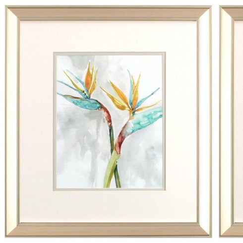 Set Of Two Bird of Paradise Champagne Framed Print Wall Art