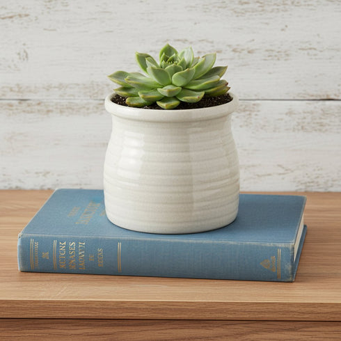 White Ceramic 25 Ounce Striped Round Distressed Pot Planter